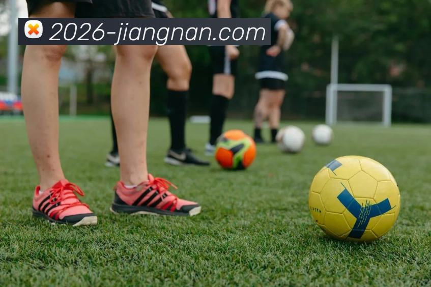 App Interface Preview